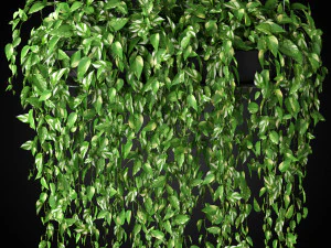 Plants collection 265 3D Model
