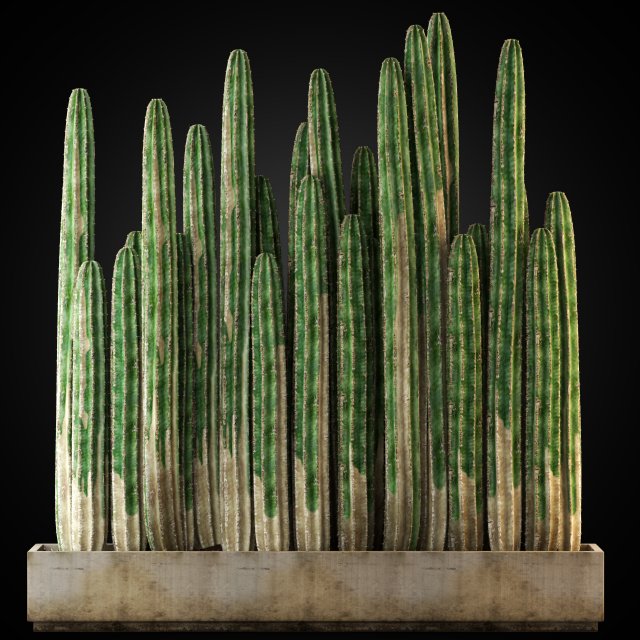 Plants collection 266 3Dモデル .c4d .max .obj .3ds .fbx .stl .blend
