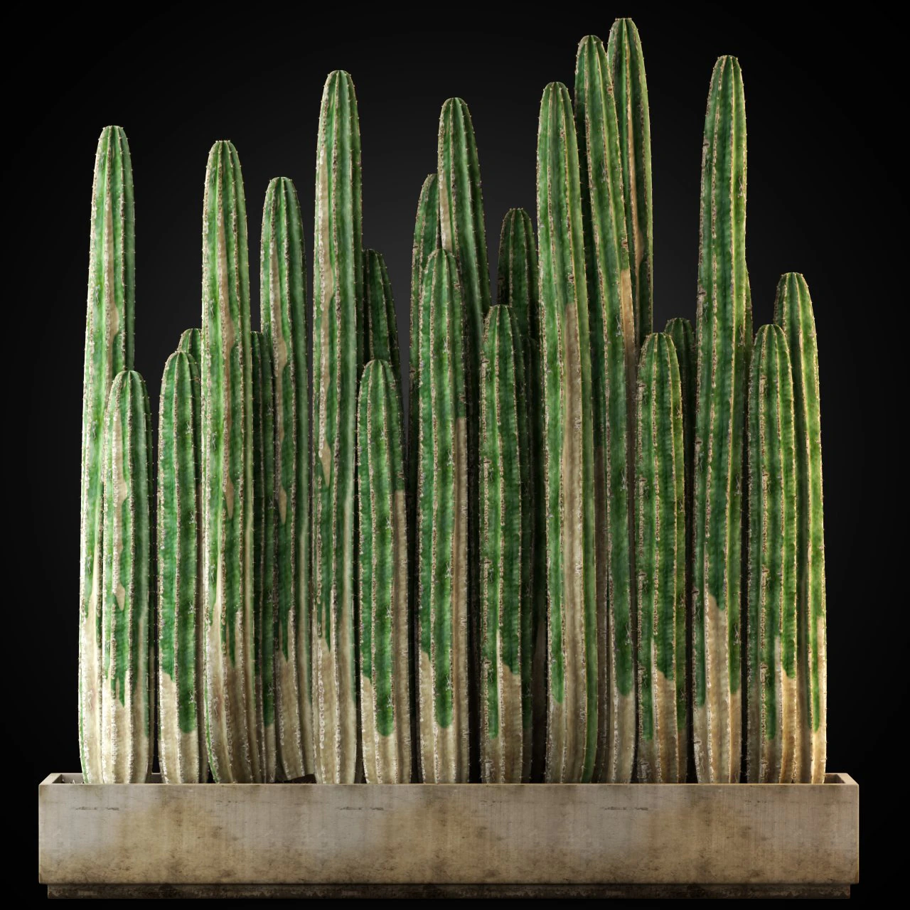 Plants collection 266 3D Model .c4d .max .obj .3ds .fbx .stl .blend 