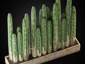 Plants collection 266 3Dモデル