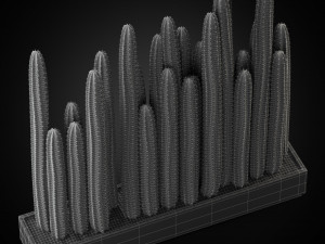 Plants collection 266 3Dモデル