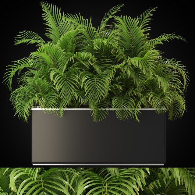 Plants collection 267 Modèle 3D .c4d .max .obj .3ds .fbx .stl .blend 