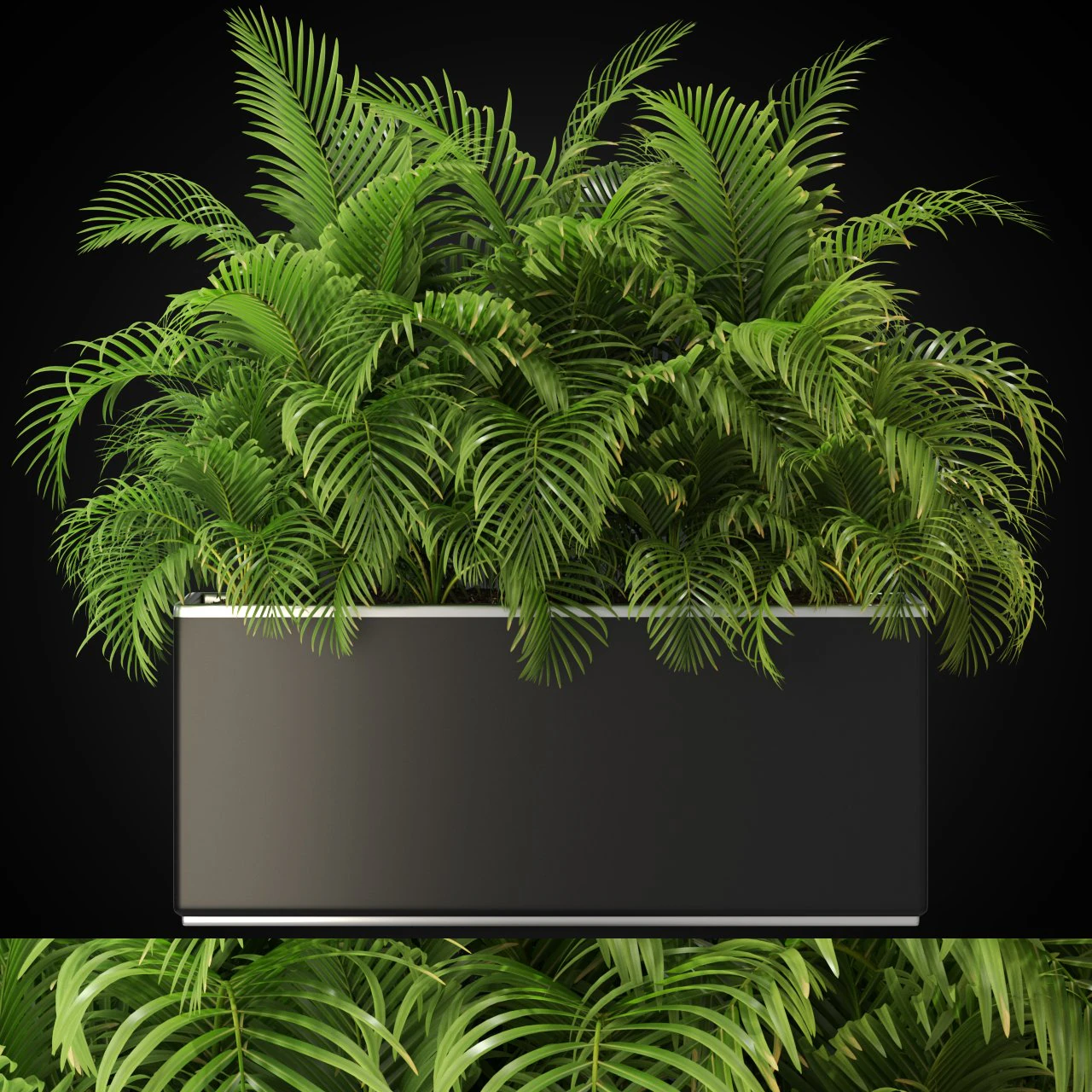 Colecci&oacute;n de plantas 267 Modelo 3D .c4d .max .obj .3ds .fbx .stl .blend 