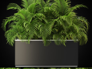 Plants collection 267 3Dモデル