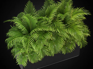 Colecci&oacute;n de plantas 267 Modelo 3D
