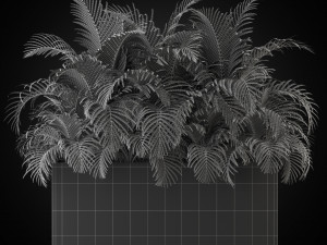 Plants collection 267 Modèle 3D