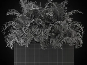 Colecci&oacute;n de plantas 267 Modelo 3D