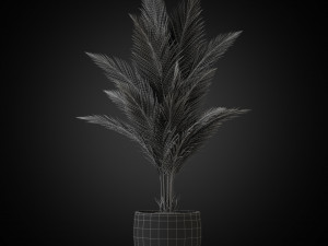 Plants collection 268 3D 模型
