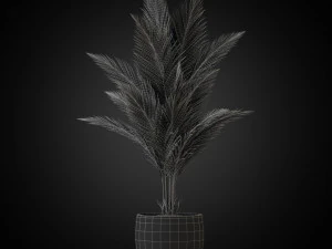 Plants collection 268 3D Model