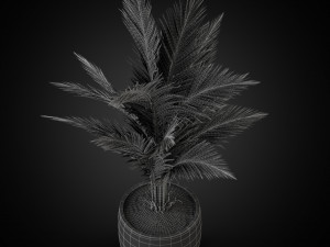 Plants collection 268 3D 模型