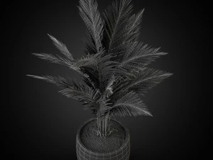 Plants collection 268 3D Model