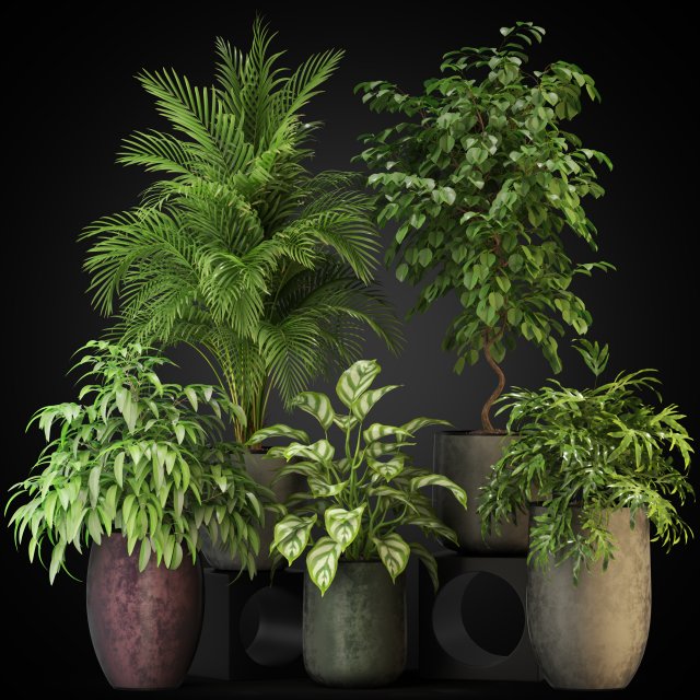 Plants collection 269 Model 3D .c4d .max .obj .3ds .fbx .stl .blend