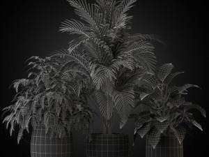 Plants collection 269 3D Модель