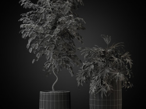 Plants collection 269 3D Модель