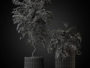 Plants collection 269 3D Model