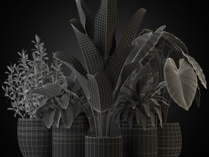 Plants collection 270 3D Model