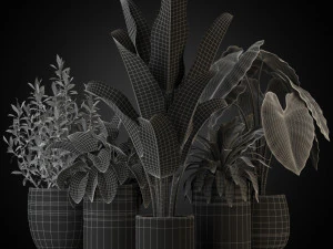 Plants collection 270 3D Model
