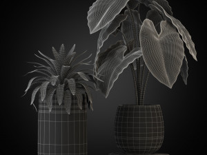 Plants collection 270 3D Model