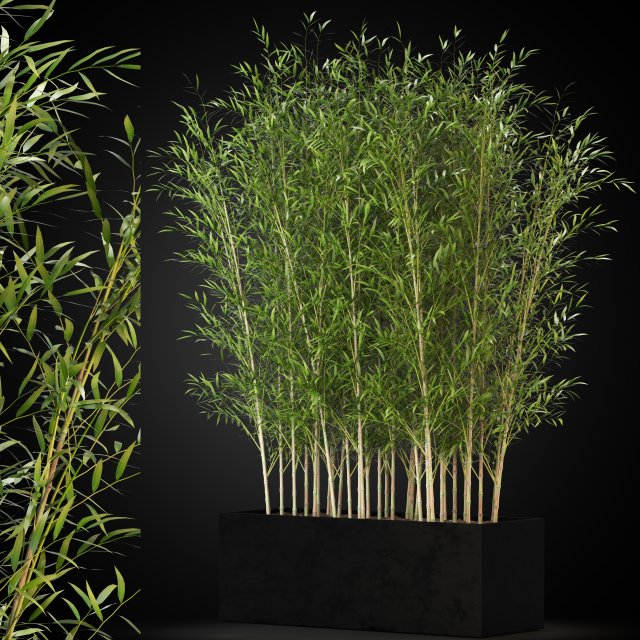 Plants collection 271 Modelo 3D .c4d .max .obj .3ds .fbx .stl .blend 