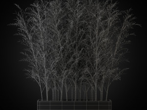 Plants collection 271 Modelo 3D