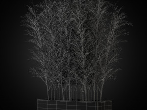 Plants collection 271 Modelo 3D
