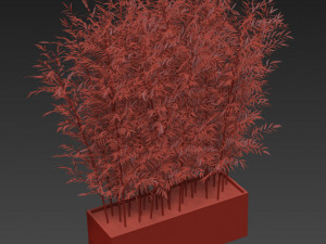 Plants collection 271 Modelo 3D