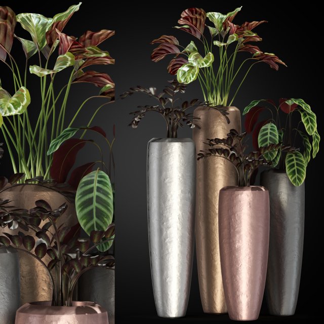 Plants collection 272 3D Model .c4d .max .obj .3ds .fbx .stl .blend 