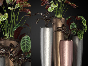 Plants collection 272 3D मॉडल