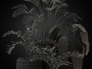 Plants collection 272 3D Model