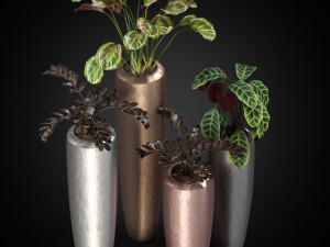 Plants collection 272 3D Model
