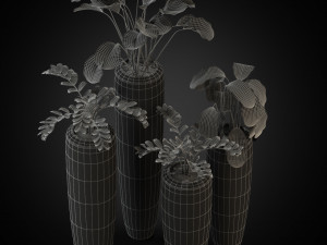 Plants collection 272 3D Model