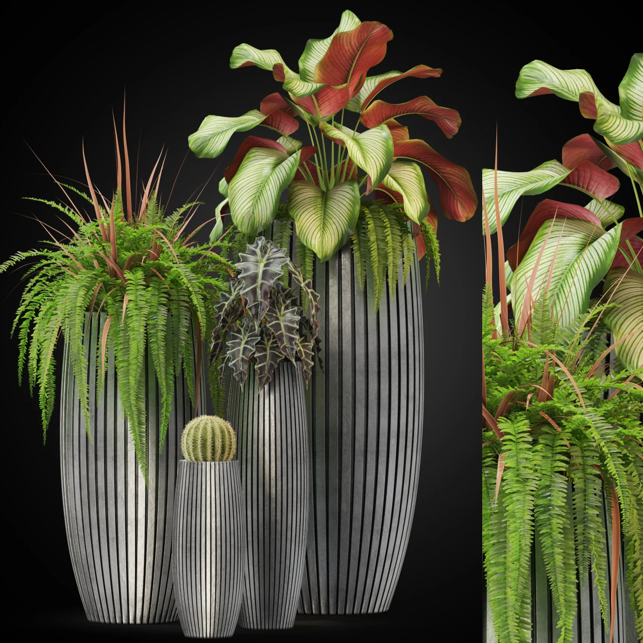 Plants collection 273 3D Model .c4d .max .obj .3ds .fbx .stl .blend 