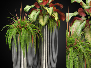Plants collection 273 Model 3D