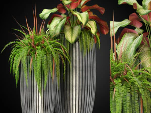 Plants collection 273 3D Model