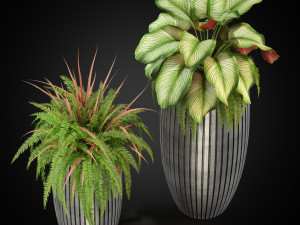 Plants collection 273 Model 3D