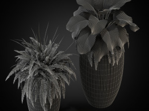 Plants collection 273 Model 3D