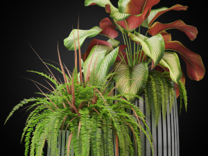 Plants collection 273 Model 3D