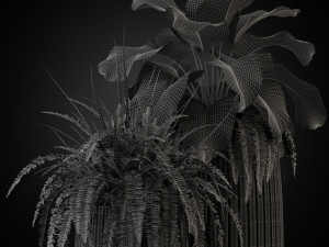 Plants collection 273 Model 3D