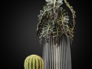 Plants collection 273 Model 3D