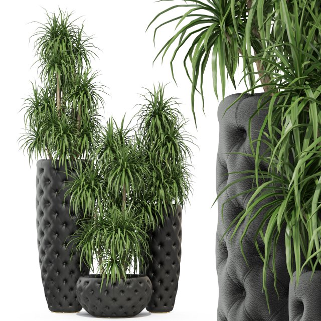 Plants collection 274 3D Model .c4d .max .obj .3ds .fbx .stl .blend 