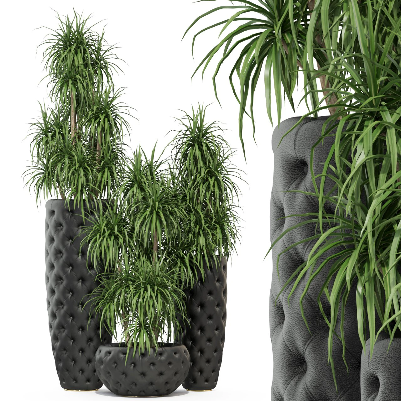 Plants collection 274 3D Model .c4d .max .obj .3ds .fbx .stl .blend 