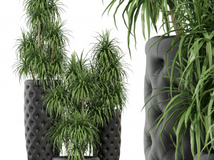 Plants collection 274 3D Model