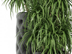 Plants collection 274 3D Model