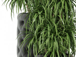 Plants collection 274 3D Model