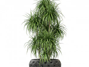 Plants collection 274 3D Model