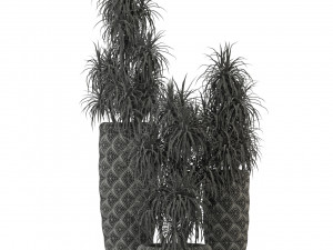 Plants collection 274 3D Model