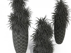 Plants collection 274 3D Model