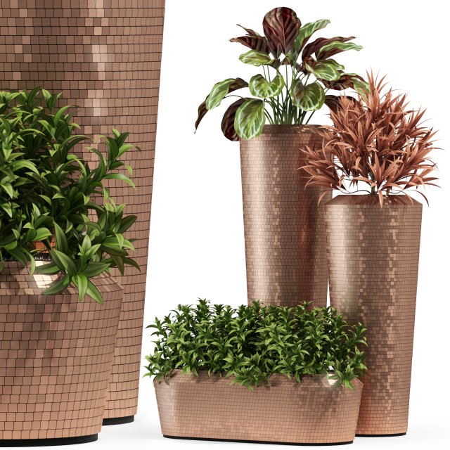 Plants collection 275 3D मॉडल .c4d .max .obj .3ds .fbx .stl .blend 