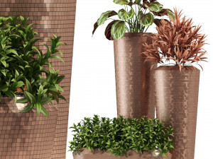 Plants collection 275 Modello 3D