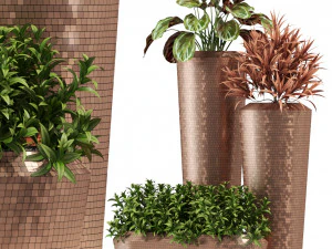 Collection de plantes 275 Modèle 3D